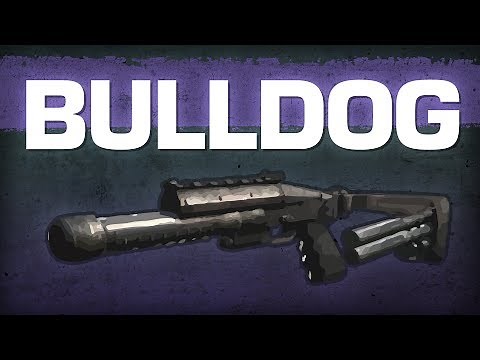Bulldog - Call of Duty Ghosts Weapon Guide
