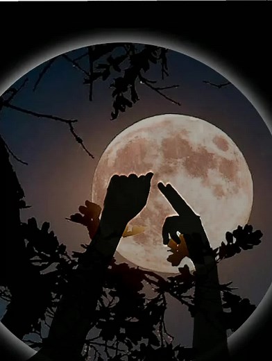 tich button song #foryou #cutiepie #viral #trend