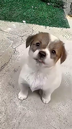 New cool Tooli 🥰New Viral Gadgets Smart kitchen😻Application Tools Utensils 🥰 Home Cleaning 😻