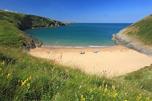 Mwnt - Alchetron, The Free Social Encyclopedia