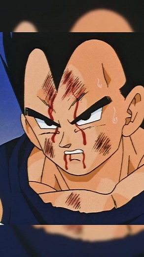 I desideri di Vegeta 🫡