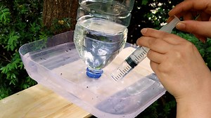 DIY Water Dispenser for our Feathered Friends