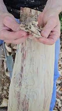 Crumble wood. #woodworking #wood #knowledge #tree #carving #fungus #nature #handtools #tips