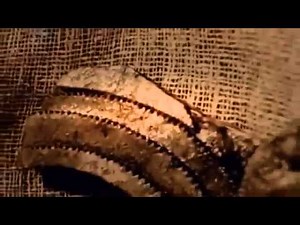 Full Documentary The World's Oldest Computer Documentary HD