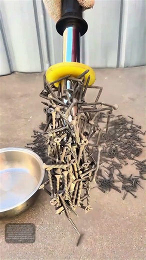 Magnetic Mastery: How a Simple Tool Transforms Screw Organization