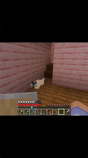 Wandering around! (Minecraft beginner) #minecraft #Minecraft #gaming