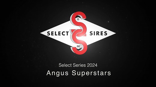 97 reactions · 21 shares | ANGUS SUPERSTARS Tonight on the first espisode of The 2024 Select Series. Listen in for important updates on new Angus and industry leaders! | Select Sires Beef | Facebook