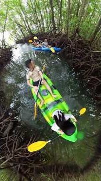 Throwback 2023 — escaped to Gaya Island Resort for a little adventure, kayaking around the island