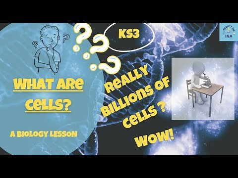 The Amazing World of Cells (KS3 Biology)
