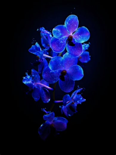 Sin pijama >>> #fyp #musicvibes #trend #spotify #lyrics_songs