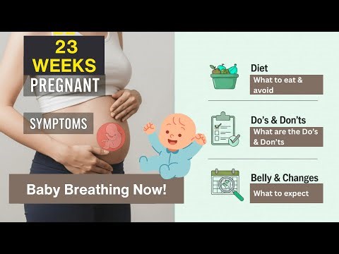 What Happens to Your Baby at 23 Weeks?