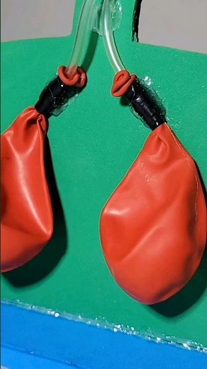 science project for class 7th students working model Easy science exhibition projects class