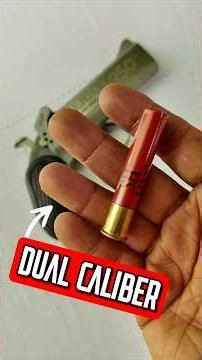 This Pistol Shoots More Than One Caliber