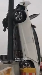 610K views · 12K reactions | Don't be a forklift dickhead.  | Ozzy Man Reviews | Facebook