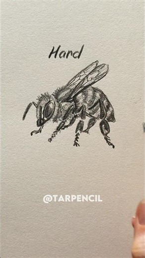 How to draw a Bee ✏️ #drawing #art #tutorial #howtodraw #sketch #bee