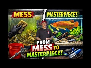 From Mess to Masterpiece! Cleaning All My Aquariums!
