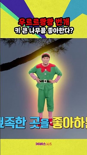 키가 큰 나무는 번개에 잘 맞는다?ㅣ위기탈출 꾹ㅣ번개,낙뢰에서 살아남기ㅣ꾹TVㅣKBS 240403방송