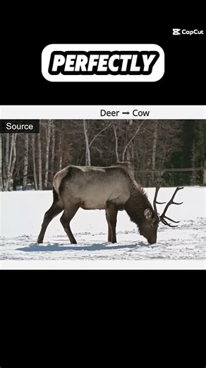 AI Video Editing Just Got SCARY Good 🤯 #AI #VideoEditing