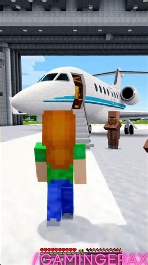 Minecraft | Alex buy a new Private Jet 🔥 | #minecraft #gaming #viral