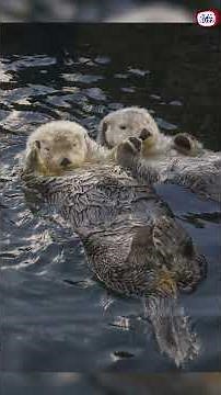 5 Amazing Fun Facts You’ll Want to Tell Everyone | Fun Fact Friday Ep.6 | SPM Buzz