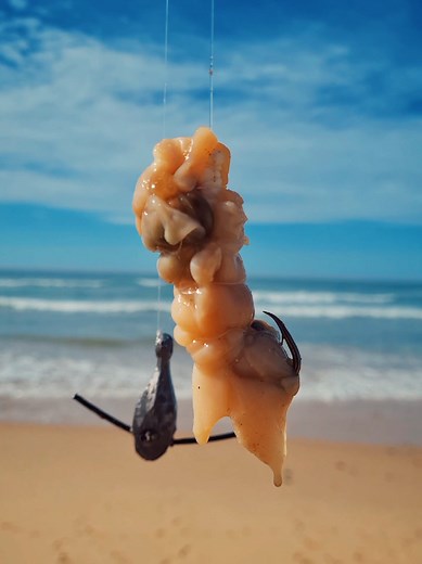 Eastern Cape Rock & Surf on TikTok