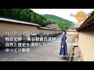 ハリアーで行く特別史跡 一乗谷朝倉氏遺跡 自然と歴史を満喫しながら ゆっくり散歩