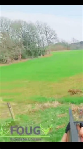 Fox Hunting Amazing Perfect Shot 🦊Wild Fox Hunting Best Shots EverFox Hunting Viral Perfect Shot