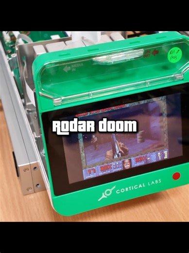 Rodaram doom em NEURÔNIOS HUMANOS ☠️ #doom #pc #gamer