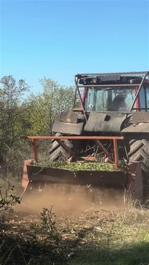 ACM Creativ ofera servicii de curatare se defrisare terenuri cu tocator forestier 0744964457