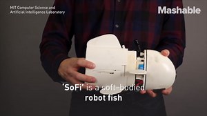 These creepy sharks glow bright green in the dark. Here's why.