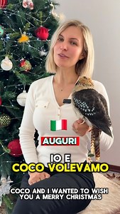 Prova il nostro IA agent al 393928534531 watsapp! www.innovativetechnologysrl.it www.protodynamics.it Innovative technology - Unit.Link Per preventivi e risposte veloci scrivi tramite watapp al 393928534531 #InnovativeTechnology #MOV #SistemaMOV | Falcong