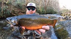 While Eastern North Carolina is mostly flat, the western part of the state is mountainous and teeming with trout. In this episode of Pautzke Outdoors we show you where to go and how to catch them this season. | Pautzke Bait Company