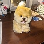 CU-MATE 12 Inch Pomeranian Stuffed Animal Dog Realistic Puppy Plush Toys- Cute Pet Gift for Kids