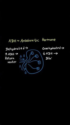 WGU D236 OA – Learn This Core Idea Fast