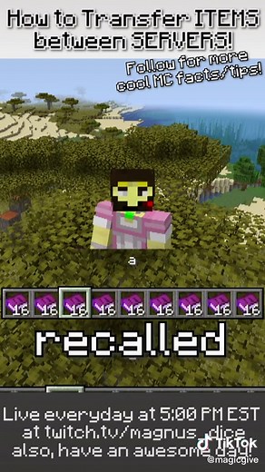 How to Transfer Items in Minecraft Java Quickly