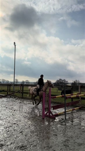 Würdet ihr mit Pony so hoch springen?😋@Leni (letzter Sprung 1.50m)