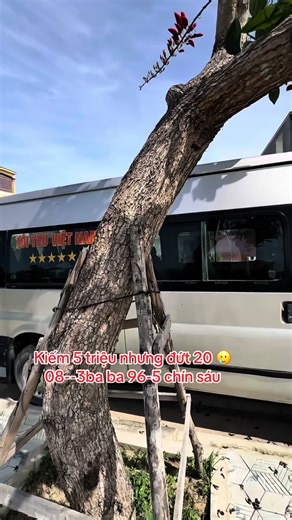 Kkkk ai nói đi buôn là thắng hết kkk ford transit 2007 ae nha #xuhuong #langthangxekhach