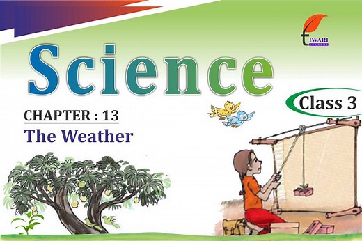 Class 3 Science Chapter 13 the Weather