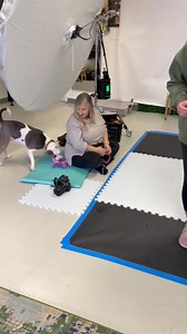 Candy had her photo shoot yesterday with Jennifer Lynn Photography, and let’s just say… it was very on brand for her. 😄 If you know Candy, you know she’s a live wire — always on the go, her mind racing a mile a minute, with the attention span of a squirrel. 🐿️ The hour was filled with laughs, treats, patience, and lots of gentle refocusing — and we cannot wait to see how the photos turned out! January 20th will mark two years of Candy being with us. We know her person is out there — it’s just 