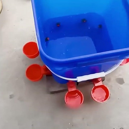 Automatic Chicken Waterer Setup 🐔💧 | Easy & Mess-Free Hydration for Poultry & Ducks!