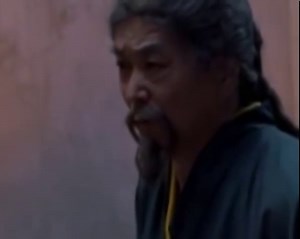 Ninja Turtles The Next Mutation (Incomplete)