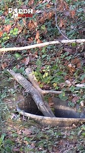 5.3K views · 45 reactions | Deer & Deer Hunting on Reels | Facebook