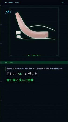 thとzの違い、舌を噛むかどうか【3D舌アニメ解説】