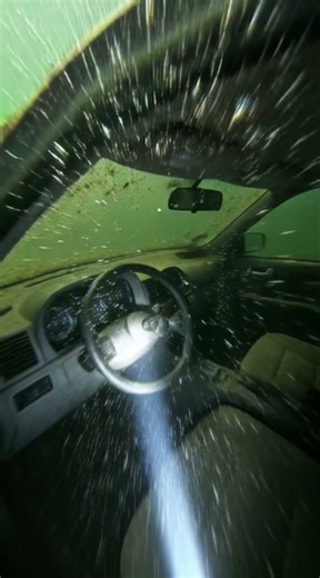 Diver Finds a Sunken Car — Seconds Later, a Shark Attacks