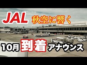 [Soothing Flight Audio] October In-Flight Announcements by JAL Flight Attendants | Four Heartwarm...