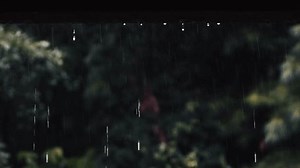Fresh summer showers during the rainy season, raindrops that form on the eaves of the roof and fall down, transparent water drops, and comfortable and cozy emotional rain sounds ASMR