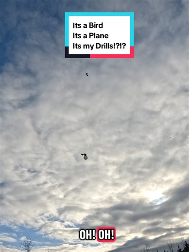 Ultimate Power Tool durability test Flex vs DeWalt #contractor #constructioncomedyclub