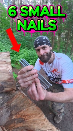 6 SMALL NAILS #martialarts #training #ninja #sports