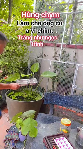 1.1M views · 8K reactions | Hung Kim on Reels | Facebook