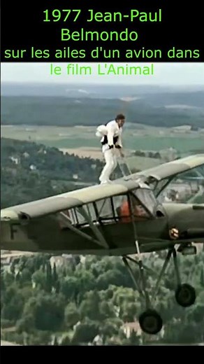 Cascade légendaire du cinéma français 🎬 | Jean-Paul Belmondo dans L’Animal #cinemafrancais